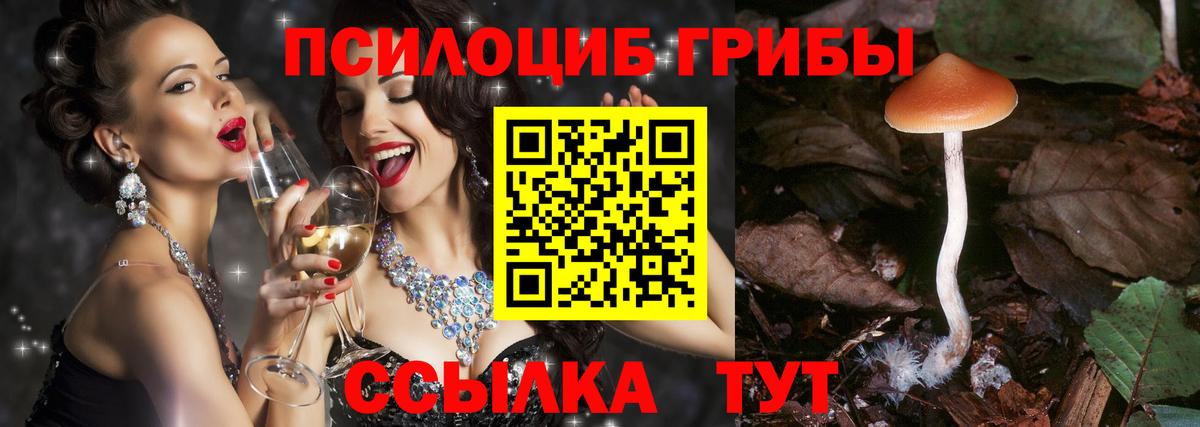 Псилоцибиновые грибы мухоморы Малоярославец